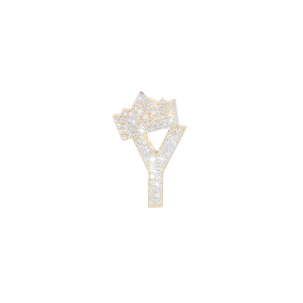Initial With Crown Charm Y